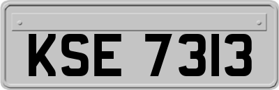 KSE7313