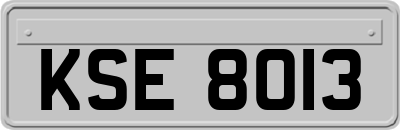 KSE8013