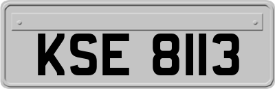KSE8113