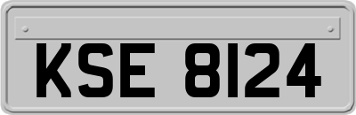 KSE8124