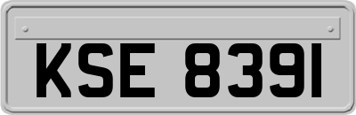 KSE8391