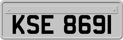 KSE8691