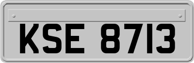 KSE8713