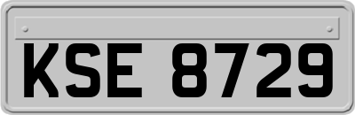KSE8729