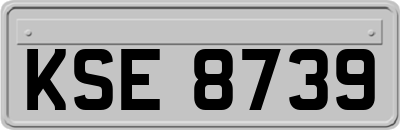 KSE8739