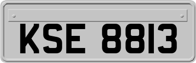 KSE8813