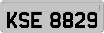 KSE8829