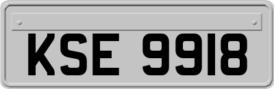 KSE9918