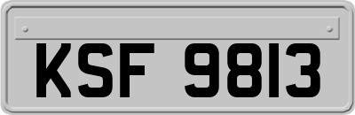 KSF9813