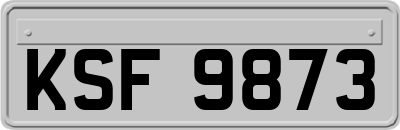 KSF9873