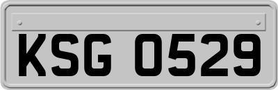 KSG0529