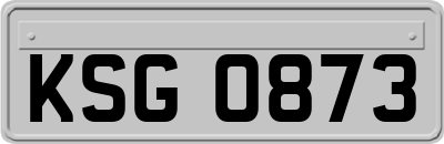 KSG0873