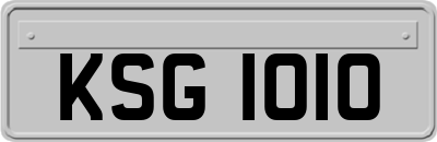 KSG1010