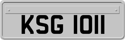 KSG1011