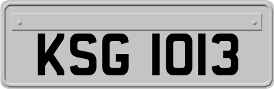 KSG1013