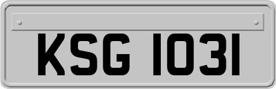 KSG1031