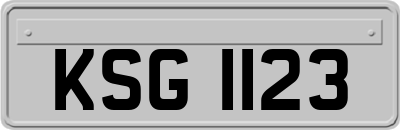 KSG1123
