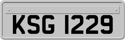 KSG1229