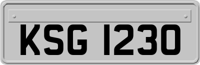 KSG1230