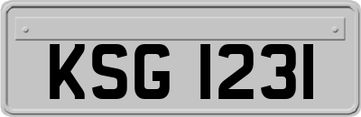 KSG1231