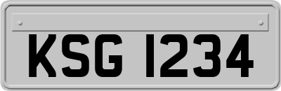 KSG1234