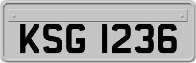 KSG1236