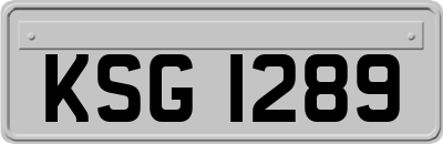 KSG1289