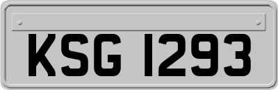 KSG1293