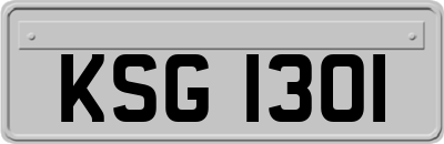 KSG1301