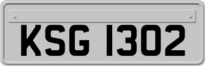 KSG1302