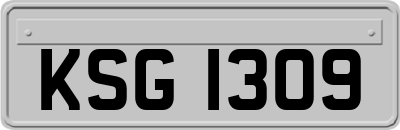 KSG1309