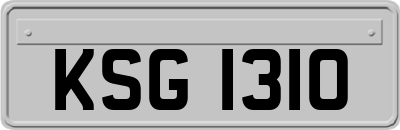 KSG1310