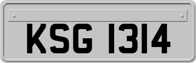 KSG1314
