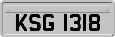 KSG1318