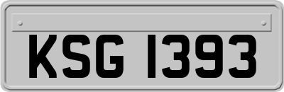 KSG1393