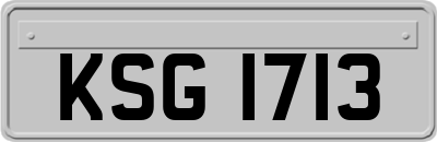 KSG1713