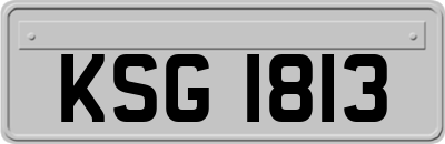 KSG1813