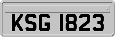 KSG1823