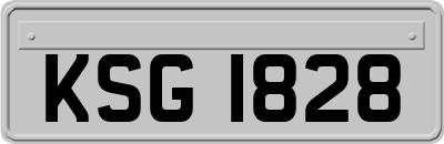 KSG1828
