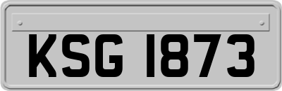 KSG1873