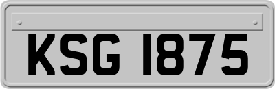 KSG1875