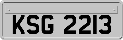 KSG2213