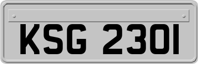 KSG2301
