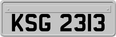 KSG2313