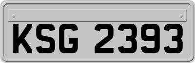 KSG2393