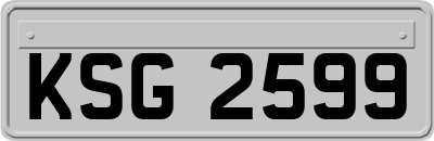 KSG2599