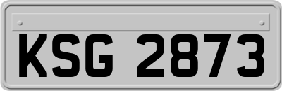 KSG2873