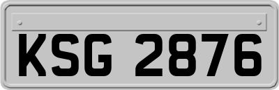 KSG2876
