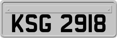 KSG2918