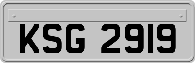 KSG2919